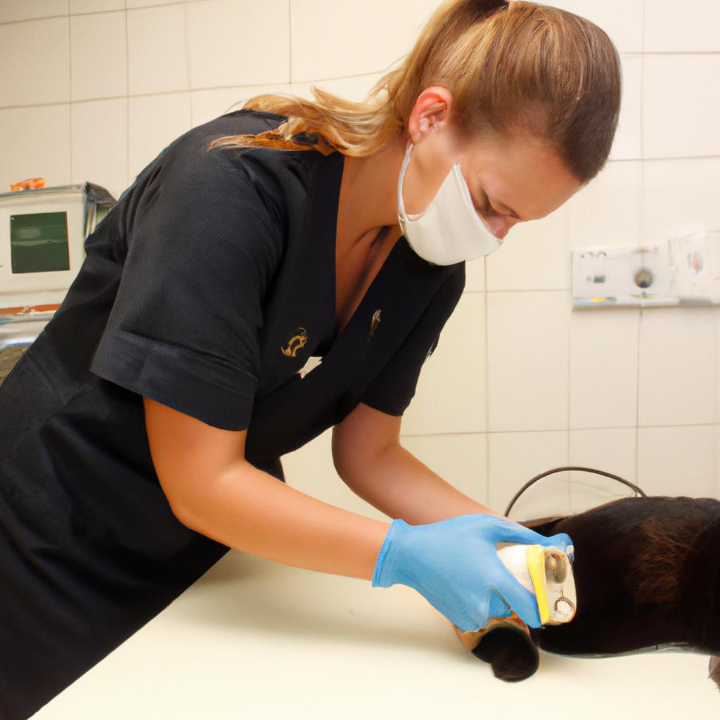 Person performing veterinary diagnostic techniques
